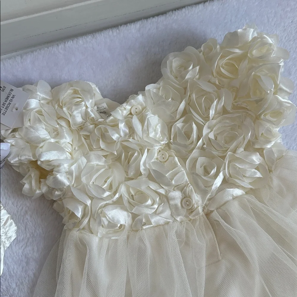 NWT Infant 9M‎ Ivory Floral Formal Tulle Bubble Dress Wedding Baptism Whimsical